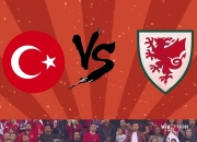 爱游戏在线登录-土耳其突围威尔士，晋级欧锦赛强的简单介绍