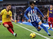 爱游戏app-布莱顿主场告捷，英超保级再添信心的简单介绍