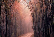 爱游戏官网入口-荷兰准备应对意大利的强力攻势，备战有备，荷兰很强,意大利很弱