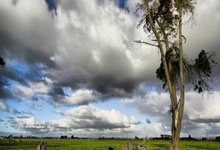 爱游戏官网-欧洲杯预选赛热点：巴西VS葡萄牙必胜之争，巴西足球欧洲杯