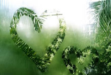 爱游戏体育地址-北京国安客场不敌大连一方，积分稍有减少，北京国安对大连一方比分