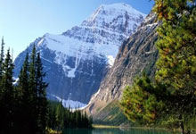 澳洲女足比赛赛场火爆，球迷热情参与，澳大利亚女足亚洲杯