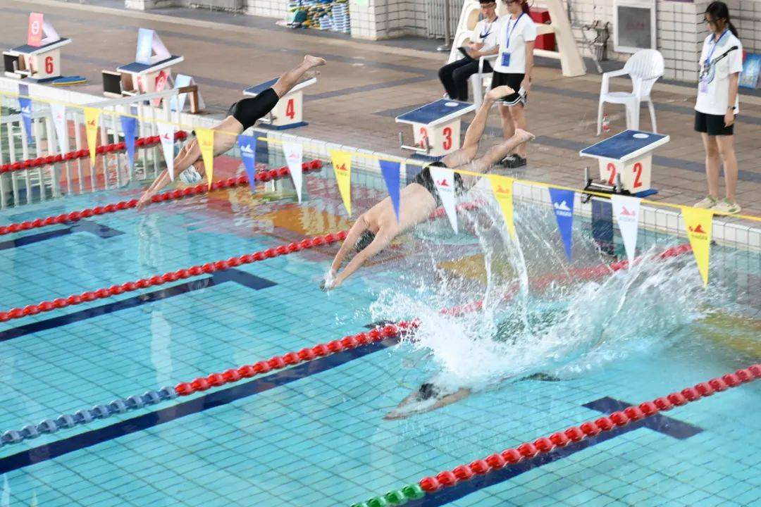 包含泳池边的风云：游泳比赛中的竞技热度的词条