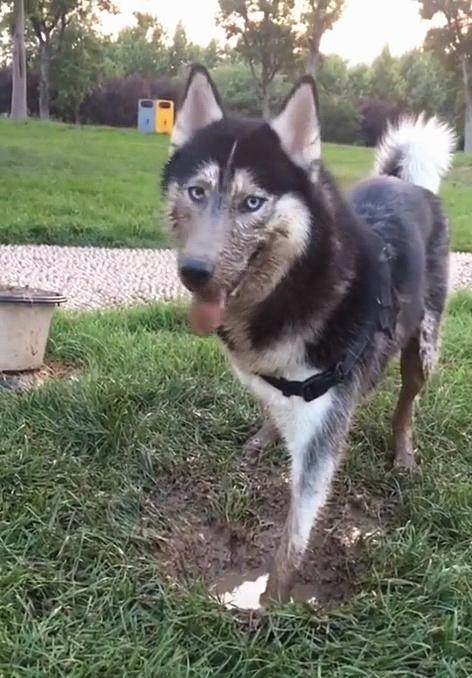 柏林赫塔主场失分，沉迷降级泥潭难自拔的简单介绍
