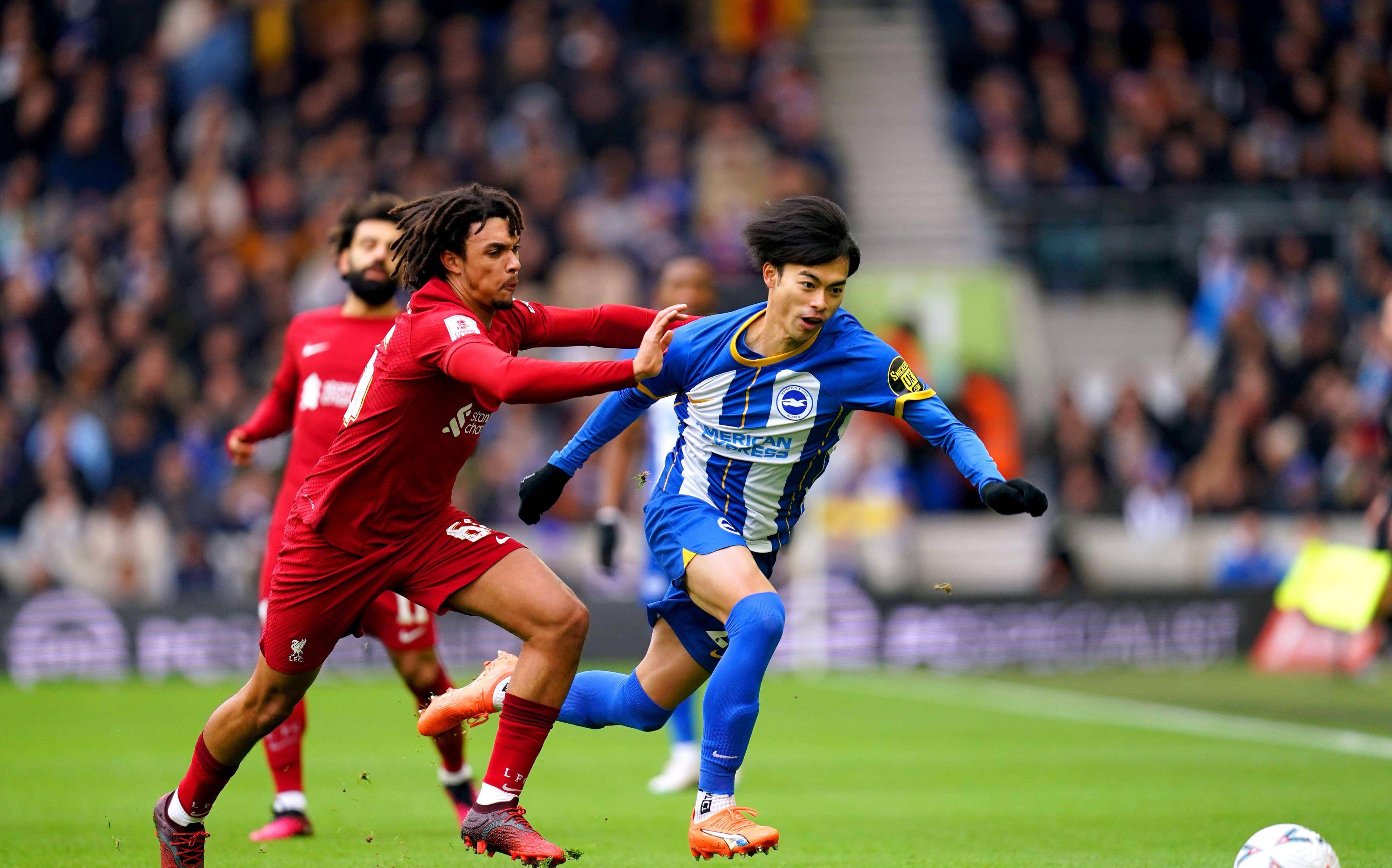 阿尔艾因进攻端火力强劲，欲破利物浦防线的简单介绍